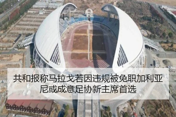 共和报称马拉戈若因违规被免职加利亚尼或成意足协新主席首选 - LeboSports